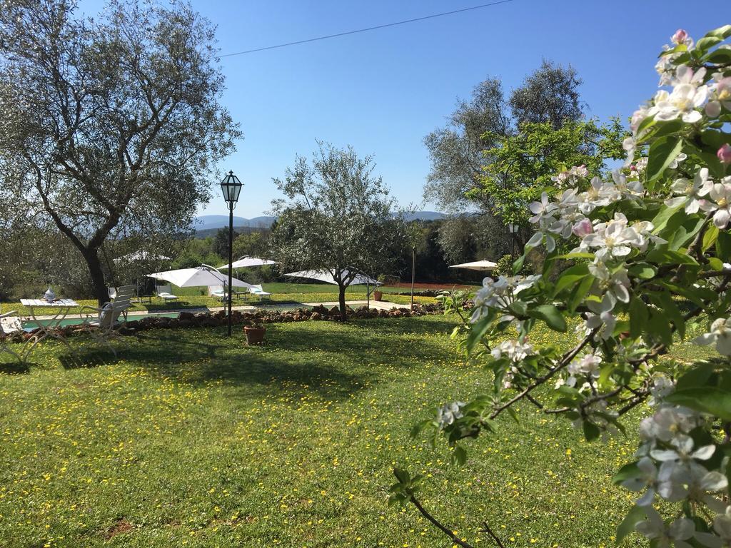La Canonica Di San Michele Monteriggioni Kültér fotó