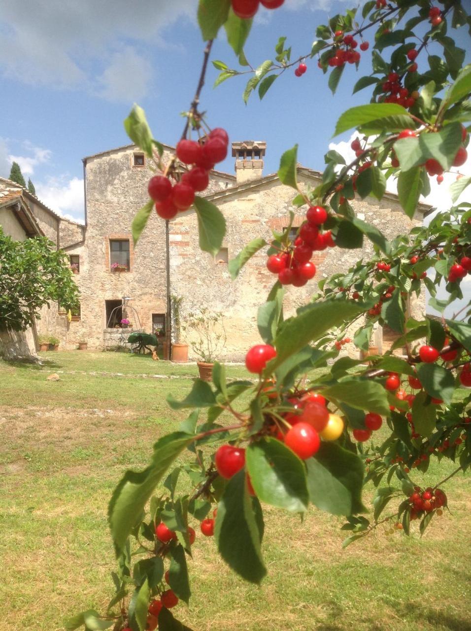 La Canonica Di San Michele Monteriggioni Kültér fotó